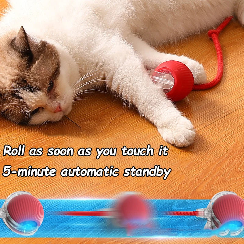 🐾 Smart Rolling Cat Toy – The Ultimate Playtime Companion! 🐾